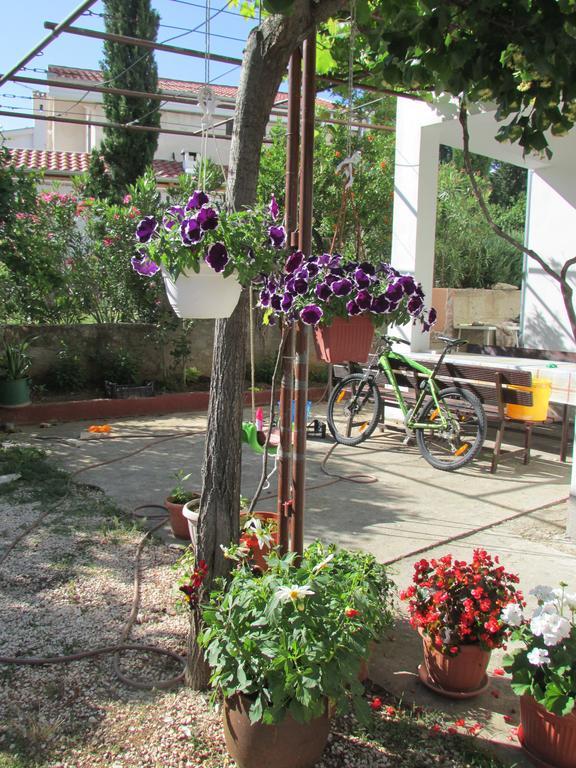 Apartmani I Sobe Grga Starigrad Paklenica Buitenkant foto