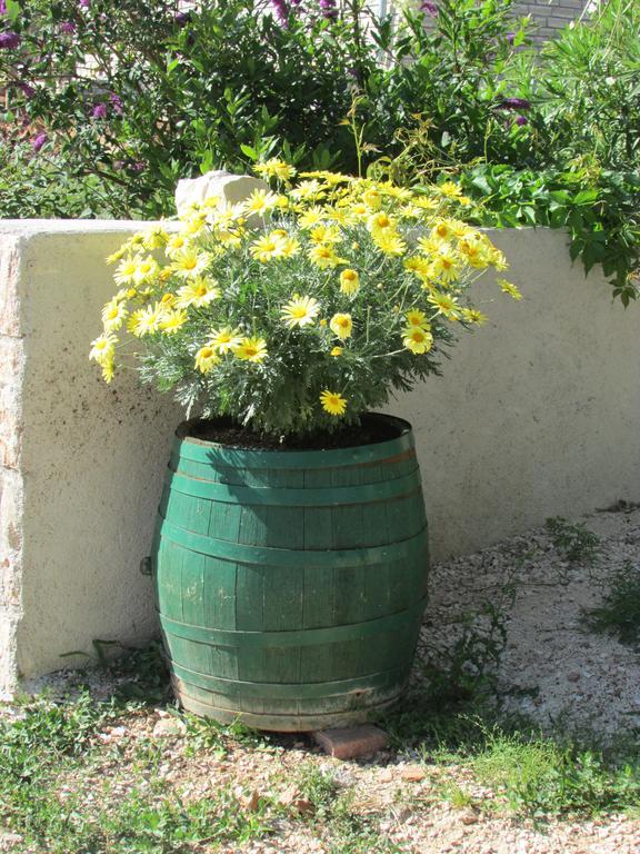 Apartmani I Sobe Grga Starigrad Paklenica Buitenkant foto